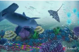 金沙足球正版app下载2024最新版